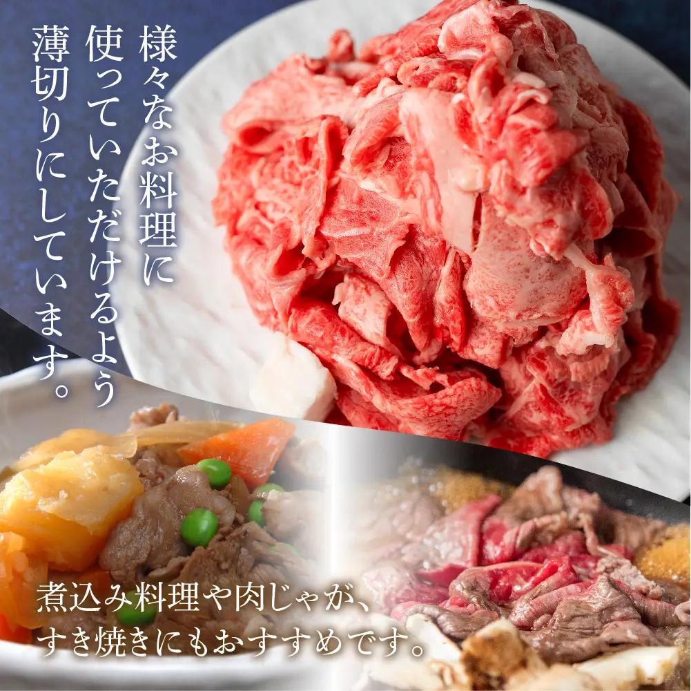 訳あり 飛騨牛切り落とし 500g |  牛肉 牛肉 BV032　FN-Limited-VO