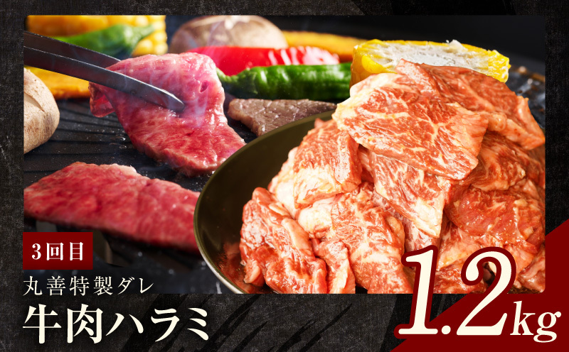 焼肉定期便 総量3.4kg（肩ロース／牛タン／牛ハラミ）全3回 丸善味わい加工【毎月発送コース】 099Z241_イメージ5