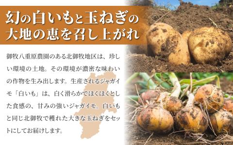 【数量限定】白いも(M～Lサイズ）と玉ねぎ（L～2Lサイズ）各5・　詰め合わせ