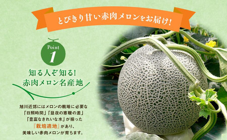 【先行予約】旭川発！北海道の赤肉メロン1玉（1玉標準 1.3kg以上）(2025年6月下旬より発送開始予定) _05230