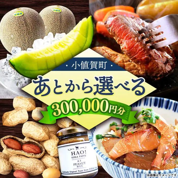 【あとから選べる】町 ふるさとギフト 30万円分 先に寄附 30万円 300000円 長崎県  [DYZ012]