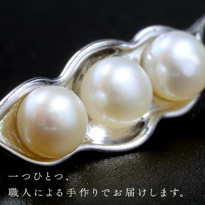 ふるさと納税 牛久市 【数量限定】シルバーブローチ |  | 01