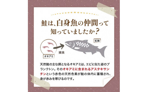 天然紅鮭切り身（1袋4切入り200g×4袋） さけ サケ しゃけ 紅サケ 魚 ご飯のお供 お弁当 おかず 北海道 海産物