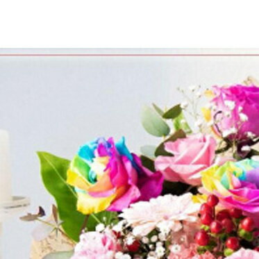 【ふるさと納税】 レインボーローズ フラワーアレンジメント 1個 薔薇 バラ ばら 花 生花 フラワー ギフト プレゼント 贈り物 お祝い 記念日 誕生日 母の日 岩手県 盛岡市 東北 岩手 盛岡 有限会社田村フローリスト