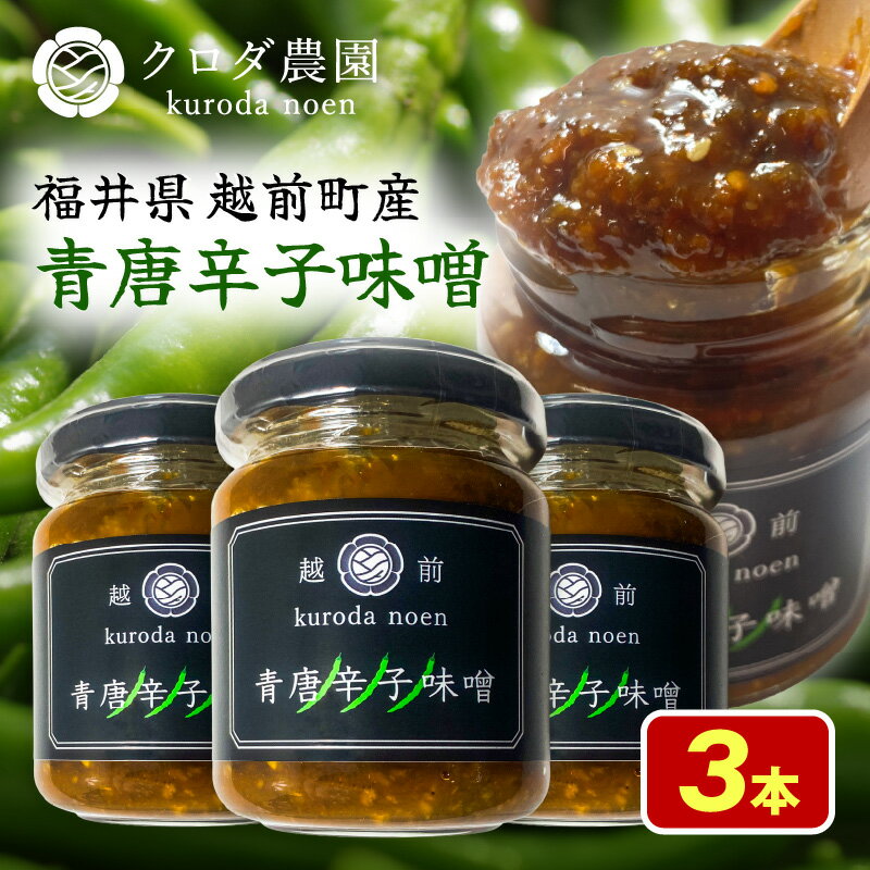 【ふるさと納税】クロダ農園直送！国産 青唐辛子味噌 140g × 3個 【旨辛 おかず 味噌 調味料 辛い 焼肉 おにぎり 野菜 調理 便利】