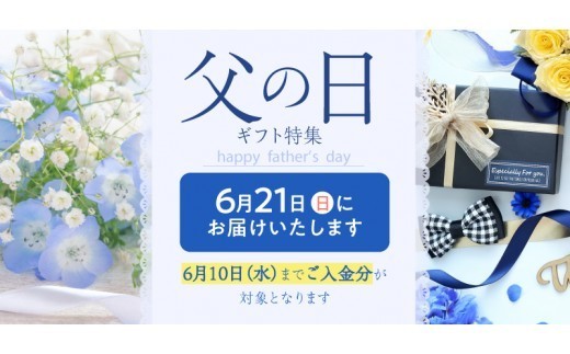yokohama/choice/choicebasic/sd8_504f2e5ece73eb6ca12e5a7457bbbc8d