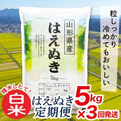 ふるさと納税 最上町 【毎月定期便】買い忘れなしで美味しいはえぬき5kg(白米)が届く全3回