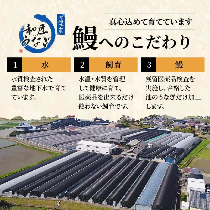 うなぎ うな丼の素 うなぎ[国産 4袋 和匠 備長炭手焼き 400g]