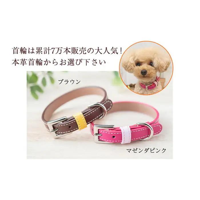 迷子札付き犬首輪 本革製 ネームタグ 日本製 ペット用品 | 犬用 首輪 迷子札 セット ペットグッズ ペット用品 ぶらぶらしない なくならない 愛犬 名入れ オーダー品 おしゃれ 可愛い プレゼント