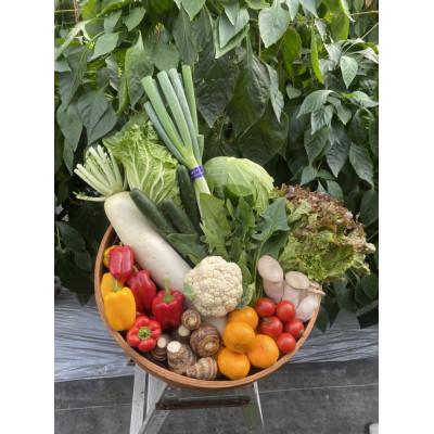 ふるさと納税 牧之原市 【11〜12品】畑から採りたて発送!静岡厳選野菜セット