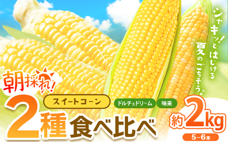 とうもろこし 2種食べ比べミックス 味来×ドルチェドリーム トウモロコシ 約2㎏（5～6本） | 鈴木アル・ファーム 