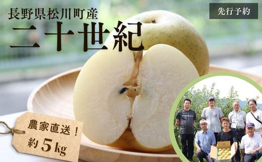 
                  KW02 梨 二十世紀 約5kg（9～14玉） 松川町産 贈答／2026年9月中旬頃～配送 | 長野県 南信州 松川町 和梨 梨 なし ナシ 20世紀 約5㎏ 産地直送 農家直送 農家支援 贈答 二十世紀 果物 フルーツ
                