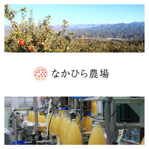 国産果汁100%ジュース＆スムージーセット（180ml×10本）［NH04］// 長野県 南信州 ストレートスムージー ストレートジュース 無加糖 無塩 香料不使用 着色料不使用 保存料不使用 天皇杯