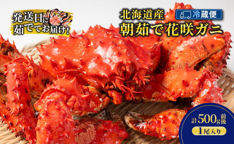［冷蔵便］茹でたて直送！北海道産 朝茹で 花咲ガニ 約500g×1尾【 かに カニ 蟹 花咲ガニ 花咲蟹 海鮮 魚介 海の幸 海産物 家庭用 冷蔵 北海道 十勝 幕別 】