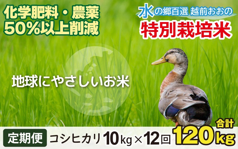 
                  【令和7年産】【12ヶ月定期便】こしひかり 10kg×12回 計120kg【白米】減農薬・減化学肥料 「特別栽培米」－地球にやさしいお米－
                