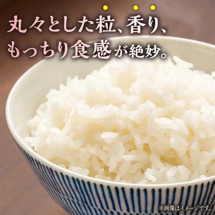にこまる 白米 計10kg（5kg×2袋）【竹下農園】[ZEL004]