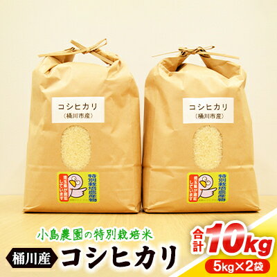【ふるさと納税】小島農園の特別栽培米　桶川産コシヒカリ　5kg×2袋【1357476】