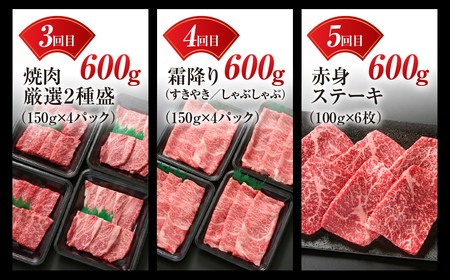 【定期便】飛騨牛 全5回 計3kg  飛騨高山ミート 定期便 [MZ100]