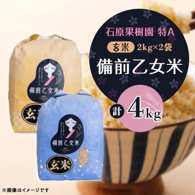 ふるさと納税 高梁市 【石原果樹園】令和8年産　備前乙女米　玄米2Kg×2袋(BOB02-2)