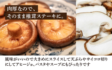 予約受付【期間限定】（2024年11月から順次発送）菌床生椎茸　詰め合わせ 1.2kg しいたけ シイタケ 生しいたけ 下呂温泉【71-3】