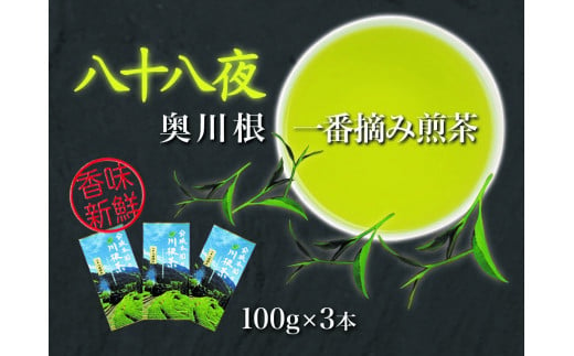 11-23 お茶 茶葉 静岡 煎茶 / 八十八夜摘み100g×3本