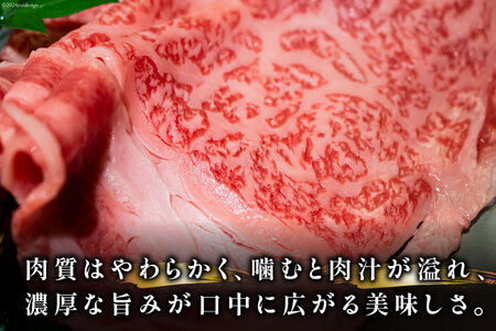 牛肉 【A4～A5】 博多和牛 サーロイン しゃぶしゃぶすき焼き用 300g×2p 計 600g