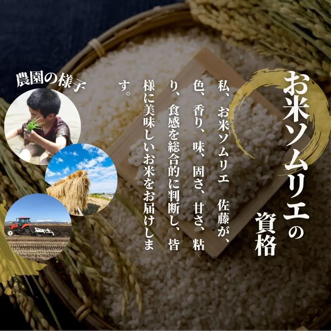 【先行予約】令和8年産 新米 新之助 玄米 5kg【10月中旬発送開始】 | 新潟県産 米 玄米 五泉市