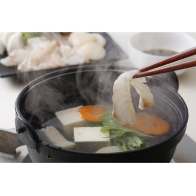 ふるさと納税 佐世保市 天然クエと九十九島真鯛とヒラマサのしゃぶしゃぶ