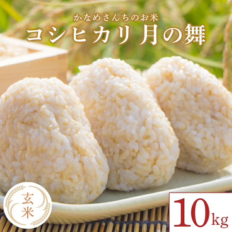 【ふるさと納税】かなめさんちのお米「月の舞」玄米 10kg 令和7年度産 米 新米 玄米 コシヒカリ こしひかり ブランド米 お米 げんまい 国産 おにぎり 弁当 R7年産 ごはん おいしい 旨い ふっくら お米 茨城県 笠間市 いばらき