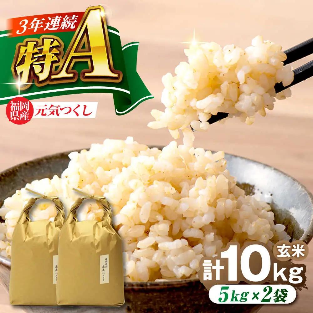 福岡県産 元気つくし 玄米 10kg (5kg×2袋)[BGAF020]元気つくし
