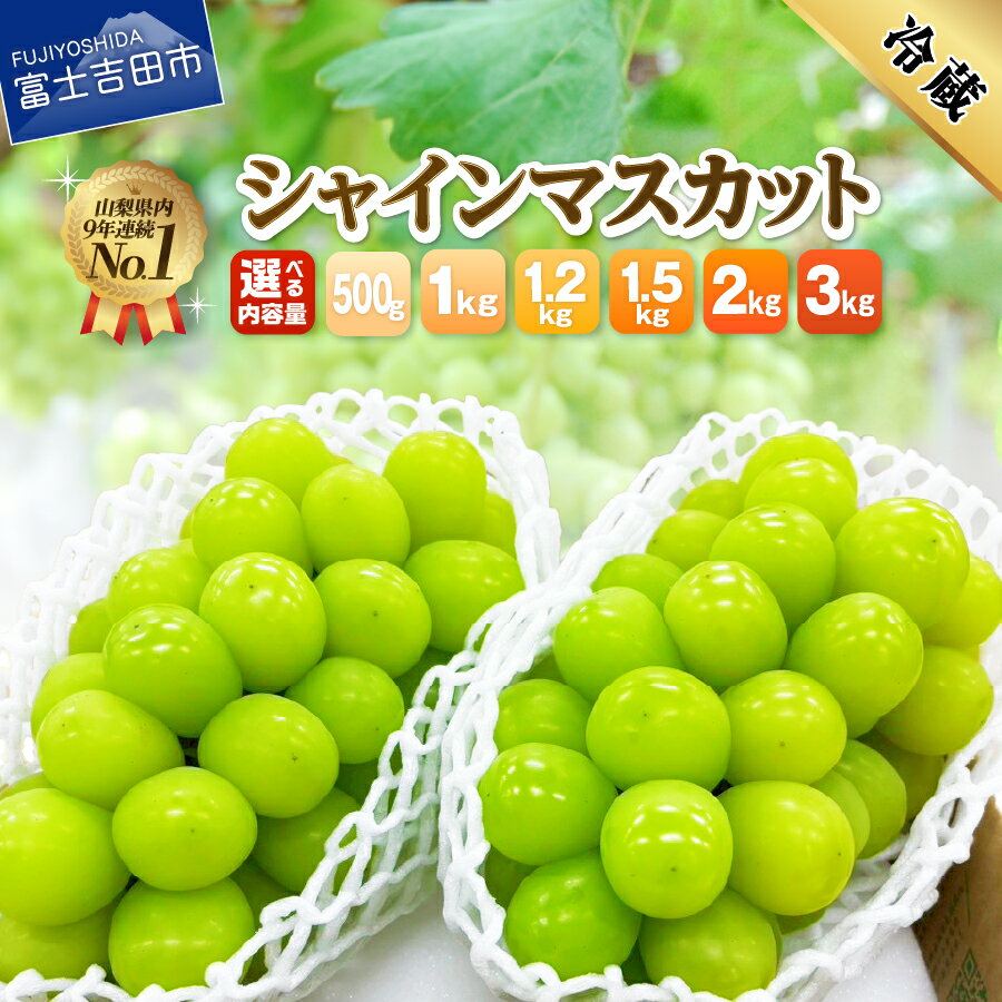 山梨県 シャインマスカット お楽しみセット 2房1kg
