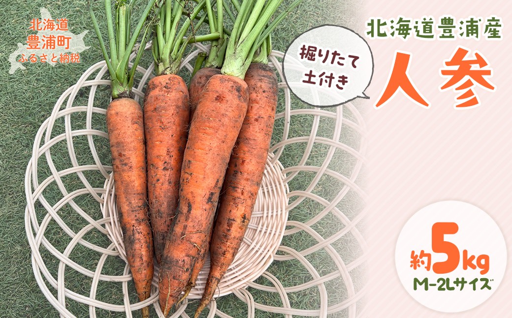 
                  北海道 豊浦町産 人参 掘りたて土付き S～2L 約5kg
                