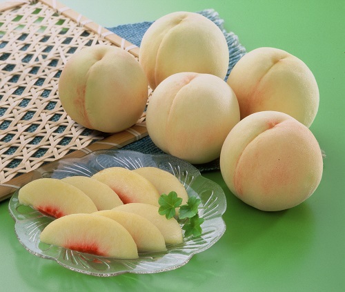 【先行予約】岡山県産　岡山白桃５～７玉①（約1.5㎏）