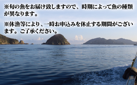 【旨味がギュッッと凝縮！】旬の魚 干物 5種 詰め合わせ【松園水産】[RBO012]