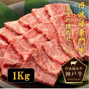 【ふるさと納税】丹波篠山東門牛至宝の焼き肉セット（1kg）