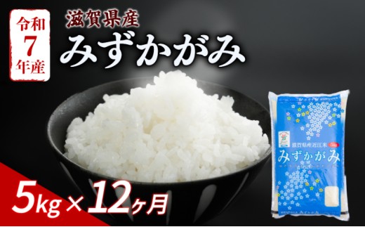 みずかがみ 5kg 12ヶ月定期便 令和7年産 米 白米 近江米 こめ ご飯 米 定期便 12回定期便 12か月定期便 12回 12か月 5キロ 令和7年 おすすめ 滋賀 彦根