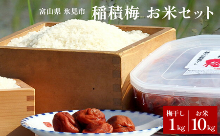 梅干し お米（10kg）付き！　｜　富山県 氷見市 固定種 稲積梅 梅 梅干し 手作り 果実 昔ながら 無添加 酸っぱい 肉厚 お米 セット GI認証 GI登録