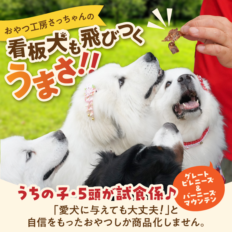 【大満足セット】犬猫用 無添加おやつジャーキー 肉4種詰め合わせ 牛たん皮・馬肺・鶏ムネ肉・牛グリーントライプ 総量1030g