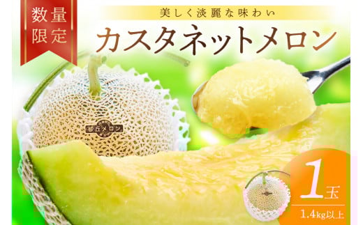 【先行予約／数量限定15】カスタネットメロン1玉(2026年7月中旬～発送)　FK00013
