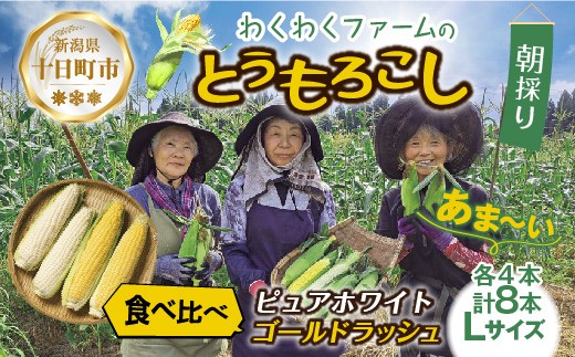 
                  令和7年産 朝採れ とうもろこし ゴールドラッシュ ピュアホワイト Lサイズ 各4本 計8本 食べ比べ 産地直送 新鮮 コーン 農園 野菜 農作物 わくわくファーム 送料無料 グルメ 
                