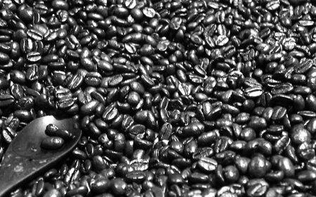 コーヒー 【全12回定期便】自家焙煎  コーヒー豆 100g 選べる豆/粉 [AIBY001]