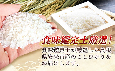 【新米 先行受付】【定期便 6か月】食味鑑定士厳選　島根こしひかり 10kg（5kg×2袋）【白米 コシヒカリ 令和7年産 先行予約 新米予約 精米 島根県 安来市】