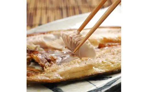 白糠漁協イチオシ白糠特産品セット 時鮭入 魚介セット ほっけ かれい 本ししゃも こまい 柳だこ さんま 時しらず ふるさと納税_I029-1820