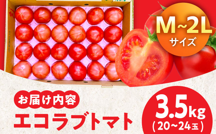 自然な美味しさ、たっぷり味わう。エコラブトマトMから2Lサイズ（20から24玉）約3.5kg　愛媛県大洲市/沢井青果有限会社 [AGBN012]パスタ 野菜 サラダ チーズ リコピン ランチ 夏野菜 