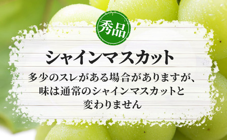 シャインマスカット 柳澤果樹園 秀品 長野県産 シャインマスカット【約1.1kg 房】