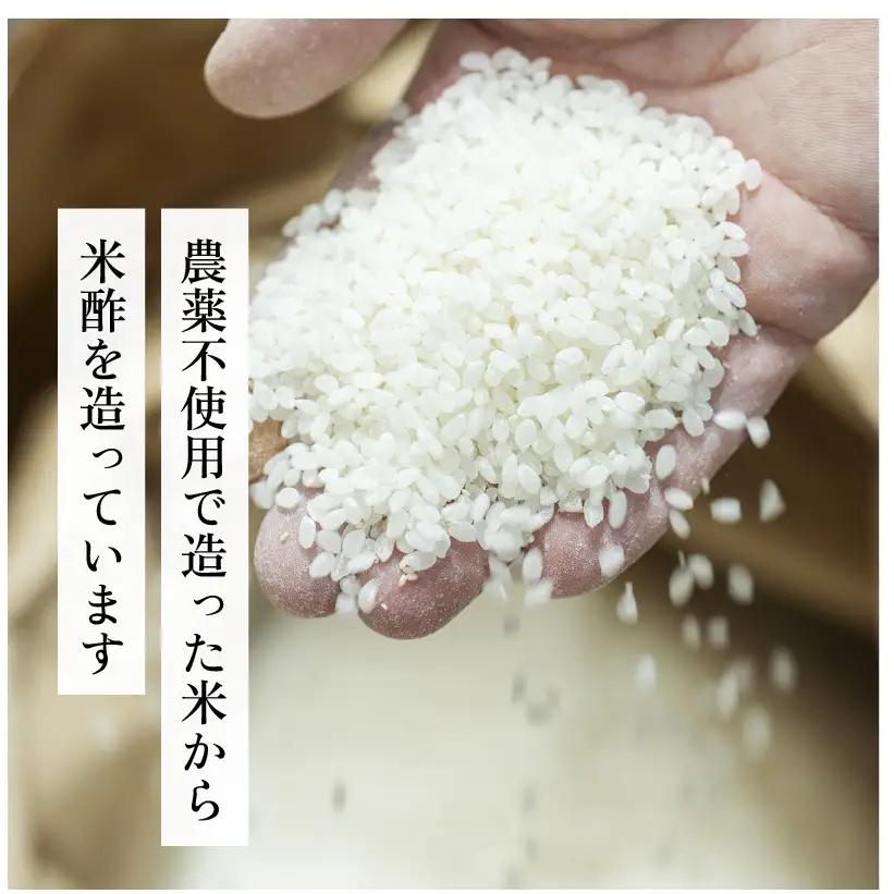 食べる富士酢（酢酸菌入り）12袋入 飯尾醸造 黒酢カプセル 富士酢 酢 お酢 マリネ ドレッシング 酢漬け 健康  美容 ギフト プレゼント myz03 myz11 myz22 myz26