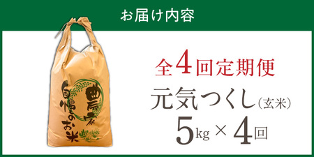【定期便4回】【令和8年産 新米】福岡県産ブランド米元気つくし 玄米 5kg×4回 _  元気つくし 5kg お届け回数 4回 定期便 福岡県産 ブランド米 新米 福岡生まれ 品種 香り豊か ふっくら