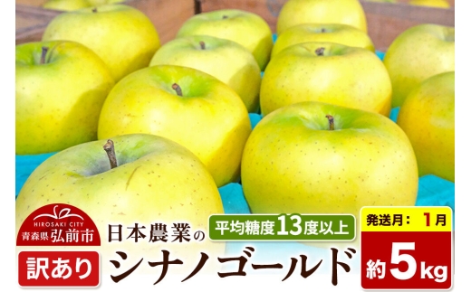 【27年1月発送】りんご シナノゴールド【訳あり】約5kg 平均糖度13度以上 青森県 弘前市 果物 フルーツ 林檎 リンゴ くだもの 不揃い 規格外 [先行受付 家庭用 産地直送 アップル 青森県 弘前市]