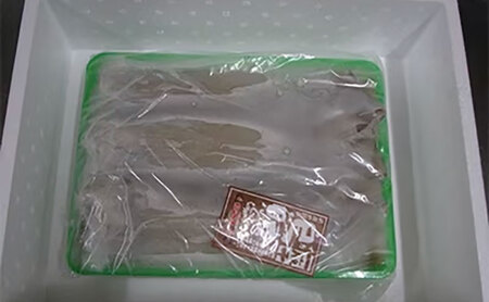 【毎月_定期便 全6回】日本海産柔らか肉厚のスルメイカ一夜干し(大)3枚　 魚貝類 イカ いか スルメイカ お酒 つまみ 特大 新鮮 保存 冷凍 国産 酒の肴 酒のつまみ myz02 myz10 my