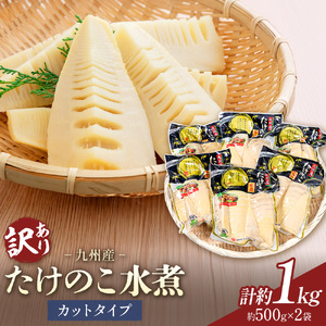 訳あり たけのこ 水煮 カットタイプ 九州産 2袋  (1袋500g) 北薩農産加工場《30日以内に出荷予定(土日祝除く)》鹿児島県 さつま町 送料無料 惣菜 タケノコ 筍 竹の子 パック 水煮 お取り寄せグルメ